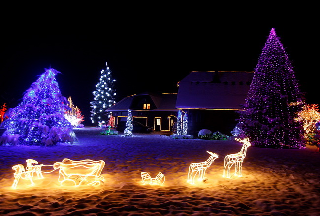 Cazma, 161209.
Grabovnica pokraj Cazme – Bozicna prica obitelji Salaj.
Zlatko Salaj ukrasio je i ove godine cijelo imanje s oko 1 milijun lampica. 
Za posjetitelje ce imanje biti otvoreno od subote 19.12. – 06. sijecnja od 17 h -21h.
Foto: Goran Mehkek /