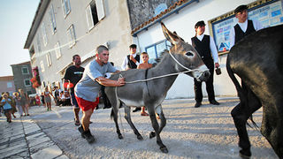 52. Saljske užance, 7. kolovoza 2011.(foto:Saša Čuka)