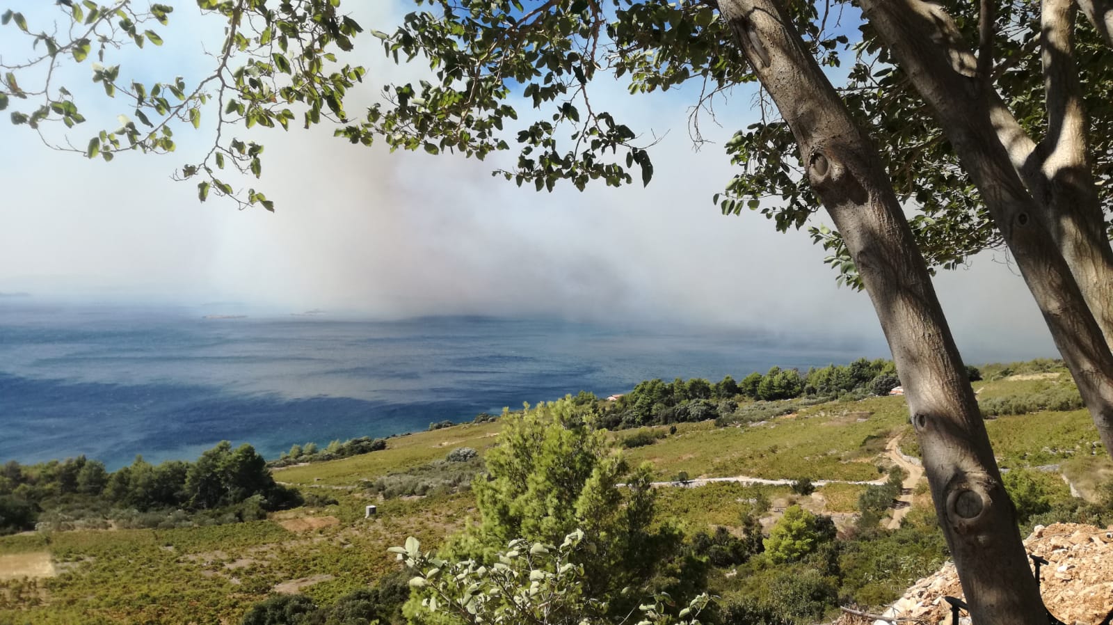 Veliki požar na Pelješcu