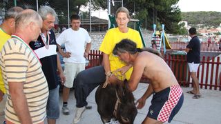 Tisno: 6. Međunarona “Trka tovarov”, Foto: Edin Kadić Tisno: 6. Međunarona “Trka tovarov”, Foto: Edin Kadić