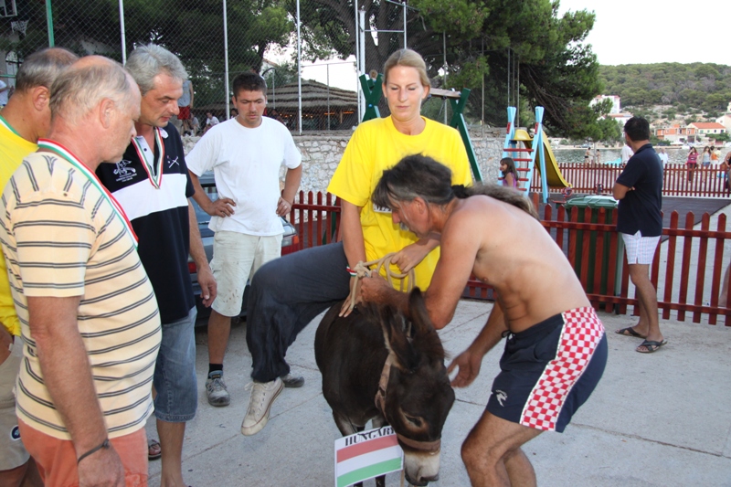 Tisno: 6. Međunarona “Trka tovarov”, Foto: Edin Kadić Tisno: 6. Međunarona “Trka tovarov”, Foto: Edin Kadić