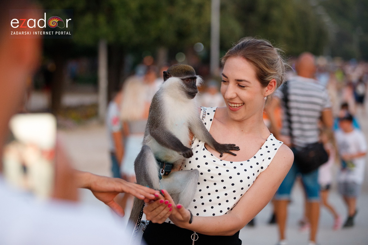 Večernji đir po gradu 30. srpnja 2019.
