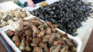 Image 1200493 (auto)