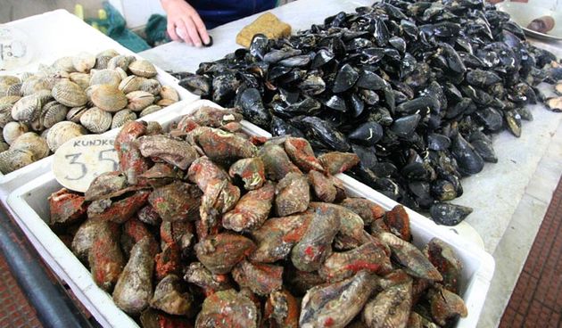 Image 1200493 (auto)