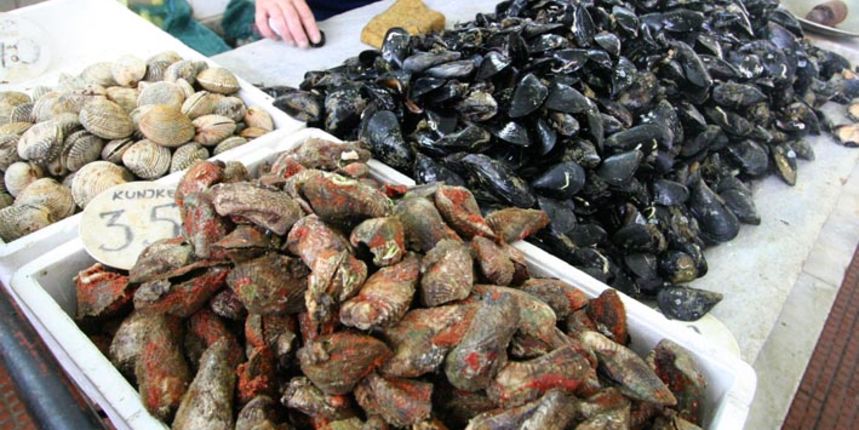 Image 1200493 (auto)