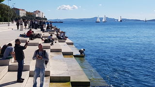 Zadarska Koka 2016. 22. listopada 2016. Foto: Mladen Malik Zadarska Koka 2016. 22. listopada 2016. Foto: Mladen Malik