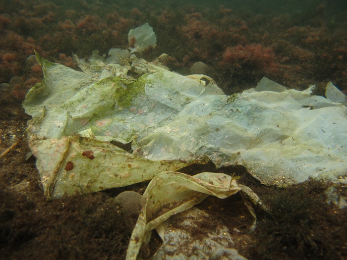 Biograd na Moru: Akcija ciscenja podmorja u uvali Jaz “Cistimo zajedno”