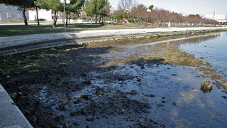 Oseka u Zadru more se povuklo nekih 50-ak cm