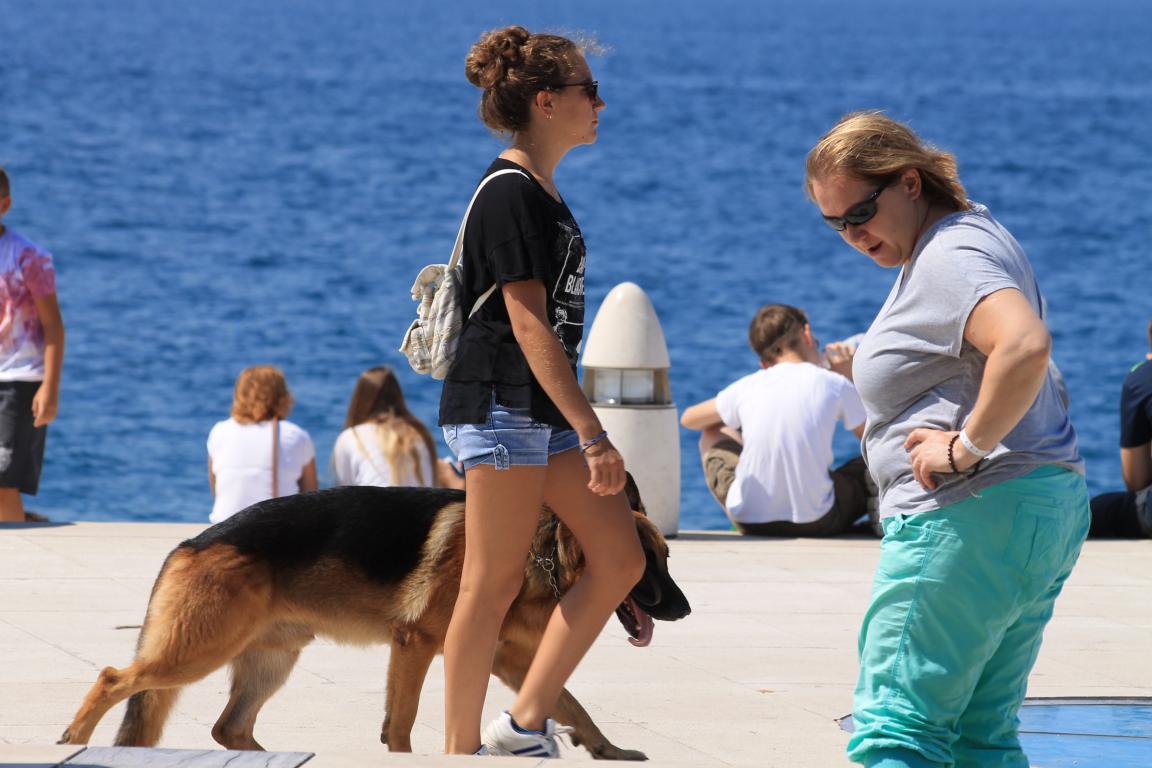 Đir po gradu 17. kolovoza 2016. Đir po gradu 17. kolovoza 2016.
