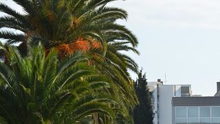 Transformeri stigli u Zadar