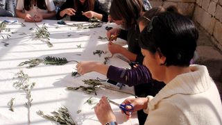 Radionica pletenja maslinovih grančica, foto: Karla Šorić Radionica pletenja maslinovih grančica, foto: Karla Šorić