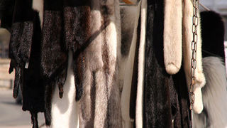 Helsinki – Odjeća i izlozi (foto: Antonija Gospić)