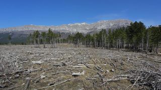 16.03.2014., Juzni Velebit – Topljenje snijega na Juznom Velebitu i procvjetani prvi planinski cvjetovi u ranom proljecu najavljuju skorasnje toplije vrijeme. Photo: Filip Brala/PIXSELL Autor Filip Brala/PIXSELL Ključne riječi rekreacija, planina, pro 16.03.2014., Juzni Velebit – Topljenje snijega na Juznom Velebitu i procvjetani prvi planinski cvjetovi u ranom proljecu najavljuju skorasnje toplije vrijeme. Photo: Filip Brala/PIXSELL Autor Filip Brala/PIXSELL Ključne riječi rekreacija, planina, pro