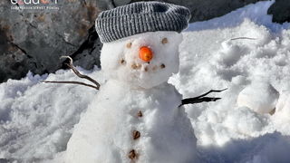 Tulove grede pod snježnim pokrivačem Tulove grede pod snježnim pokrivačem