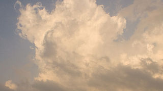 Image 1194645 (auto)