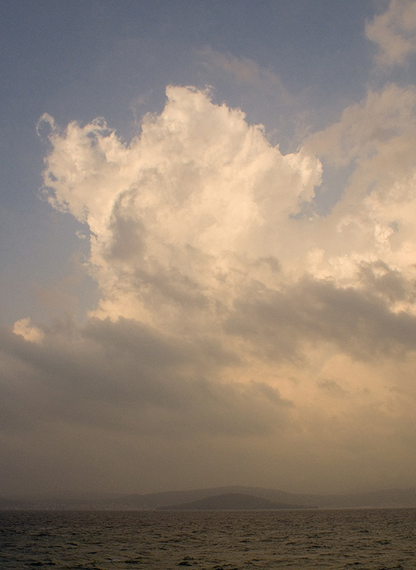 Image 1194645 (auto)