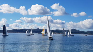 Zadarska Koka 2016. 22. listopada 2016. Foto: Mladen Malik Zadarska Koka 2016. 22. listopada 2016. Foto: Mladen Malik