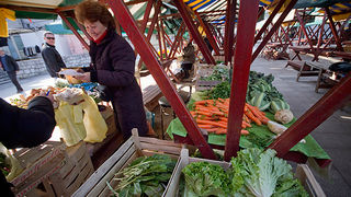 Đir po pijaci, 30. siječnja 2012. (foto:Saša Čuka)