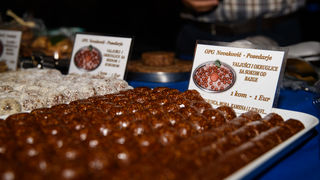 Gastro & wine night @ Vrsi Gastro & wine night @ Vrsi