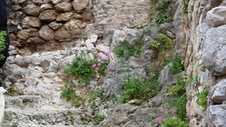 1.svibnja u Skradinu i NP Krka, Foto: Mladen Malik