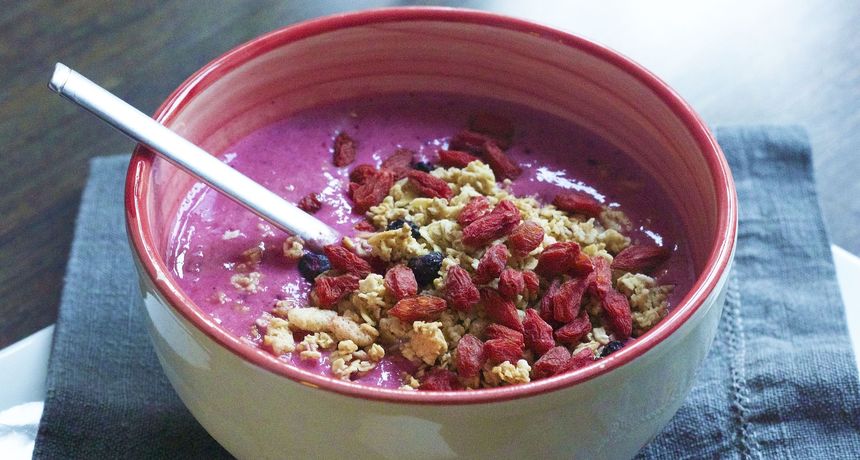 Goji drvo koje daje ljekovite goji bobice Goji drvo koje daje ljekovite goji bobice