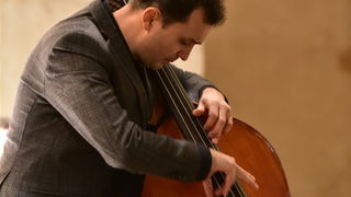 Turopoljsko srce srcu Zadra