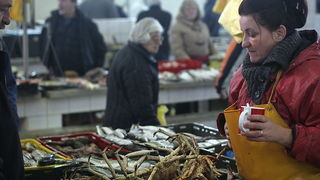 Đir po pešakariji 24. veljače 2012, Foto. Saša Čuka Đir po pešakariji 24. veljače 2012, Foto. Saša Čuka