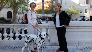 Red Carpet Dalmatian Walk @Trg pet bunara Red Carpet Dalmatian Walk @Trg pet bunara