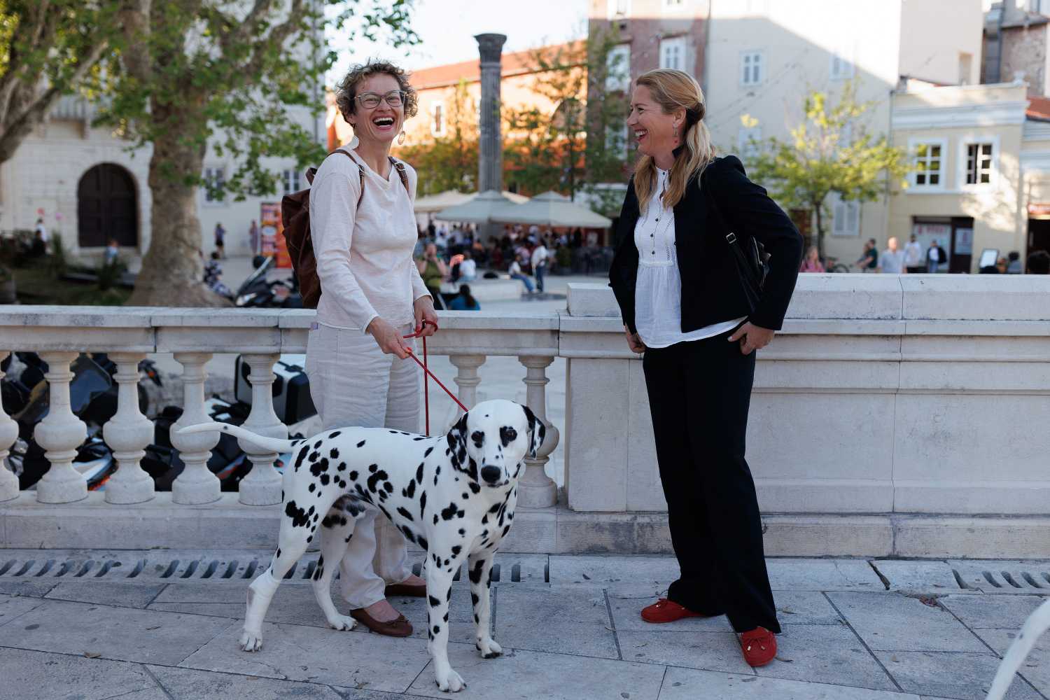 Red Carpet Dalmatian Walk @Trg pet bunara Red Carpet Dalmatian Walk @Trg pet bunara