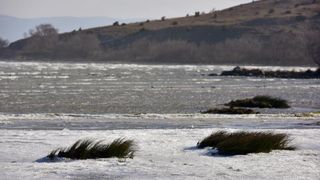 Jaka bura na zadarskom području otežava cestovni i pomorski promet, foto: Dino STanin/PIXSELL Jaka bura na zadarskom području otežava cestovni i pomorski promet, foto: Dino STanin/PIXSELL