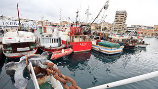 Ribarice u zadarskoj luci, Foto: Leo Banić