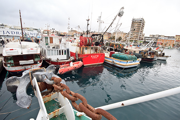 Ribarice u zadarskoj luci, Foto: Leo Banić
