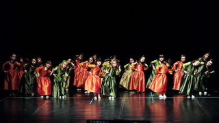 Plesna udruga Gesta: Karnevalski vremeplov, Foto: Zeljko Karavida