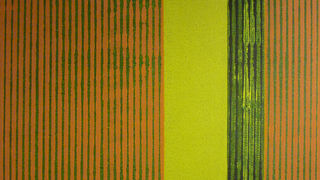 Sedmi saziv Interkulturalne art-promocije, foto: Boris Žuža Sedmi saziv Interkulturalne art-promocije, foto: Boris Žuža