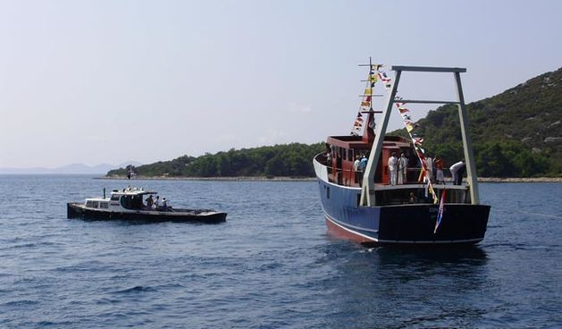 Porinuta kočarica u Lamjani