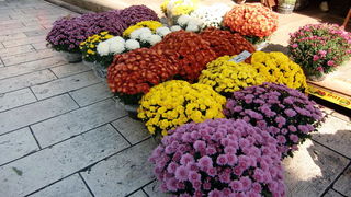 Gradska trznica uoci dana mrtvih, Foto: Mia Knezevic