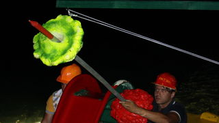 Biograd na Moru: 1. Morska alga 8. kolovoza 2009, Foto: Mladen Malik