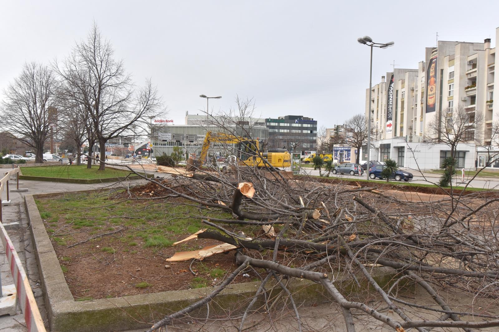 Na Bulevaru posječena stabla lipe stara 40 godina