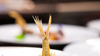 Večer slow food-a u restoranu Kornat, foto: Darko Belancic Večer slow food-a u restoranu Kornat, foto: Darko Belancic