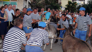 SUKOSAN, 13.08.2007. Trke tovarov, Noc svicarenja, klape Zapivajmo Kasijanu, vatromet
– tovari nisu bili “zvelti” pa su ih morali gurati