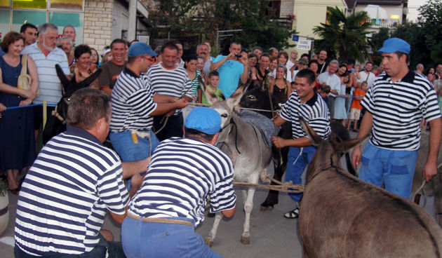 SUKOSAN, 13.08.2007. Trke tovarov, Noc svicarenja, klape Zapivajmo Kasijanu, vatromet
– tovari nisu bili “zvelti” pa su ih morali gurati