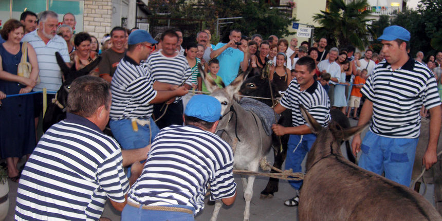 SUKOSAN, 13.08.2007. Trke tovarov, Noc svicarenja, klape Zapivajmo Kasijanu, vatromet
– tovari nisu bili “zvelti” pa su ih morali gurati SUKOSAN, 13.08.2007. Trke tovarov, Noc svicarenja, klape Zapivajmo Kasijanu, vatromet
– tovari nisu bili “zvelti” pa su ih morali gurati
