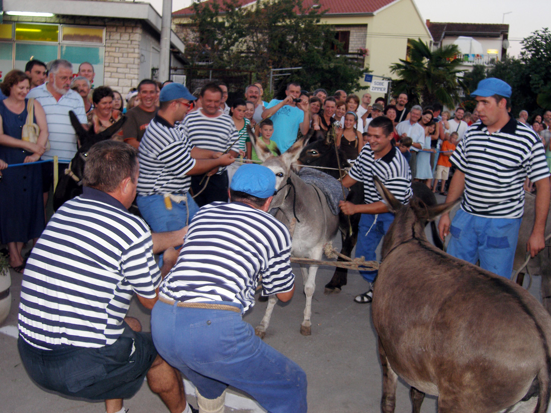 SUKOSAN, 13.08.2007. Trke tovarov, Noc svicarenja, klape Zapivajmo Kasijanu, vatromet
– tovari nisu bili “zvelti” pa su ih morali gurati