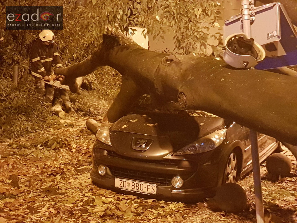 Jak vjetar srušio stablo na parkirane automobile kod OŠ Petar Preradović na Poluotoku
