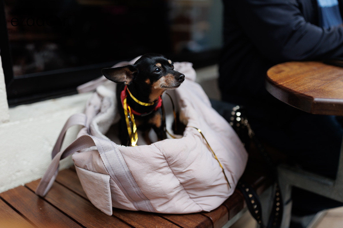 Đir po gradu, subotnja špica 31. prosinca 2022.