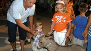 SUKOSAN, 13.08.2007. Trke tovarov, Noc svicarenja, klape Zapivajmo Kasijanu, vatromet
– atrakcija pule (mladunce tovara) od 15 dana starosti
