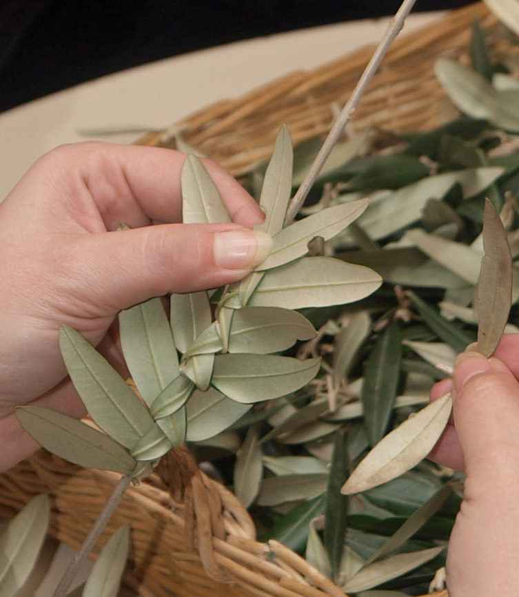 DV ‘Voštarnica’ – oaza ekologije