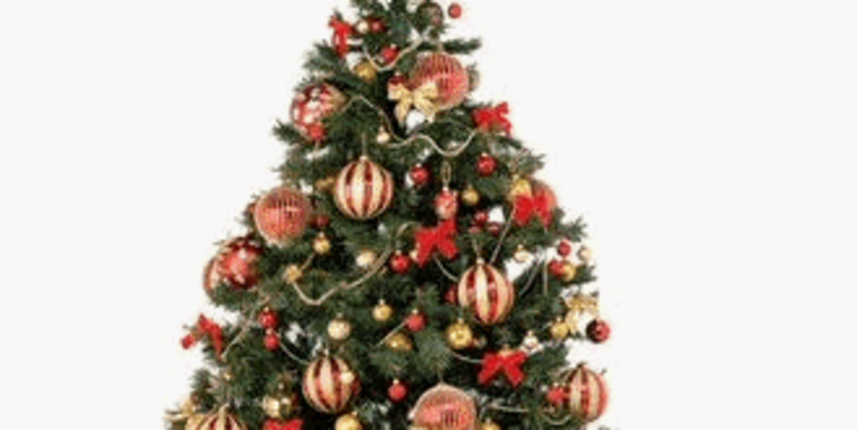 Božićna jelka Božićna jelka