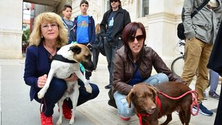 Skup podrške za NO KILL skloništa za životinje,  foto Iva Perinčić