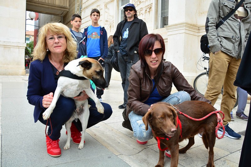 Skup podrške za NO KILL skloništa za životinje,  foto Iva Perinčić